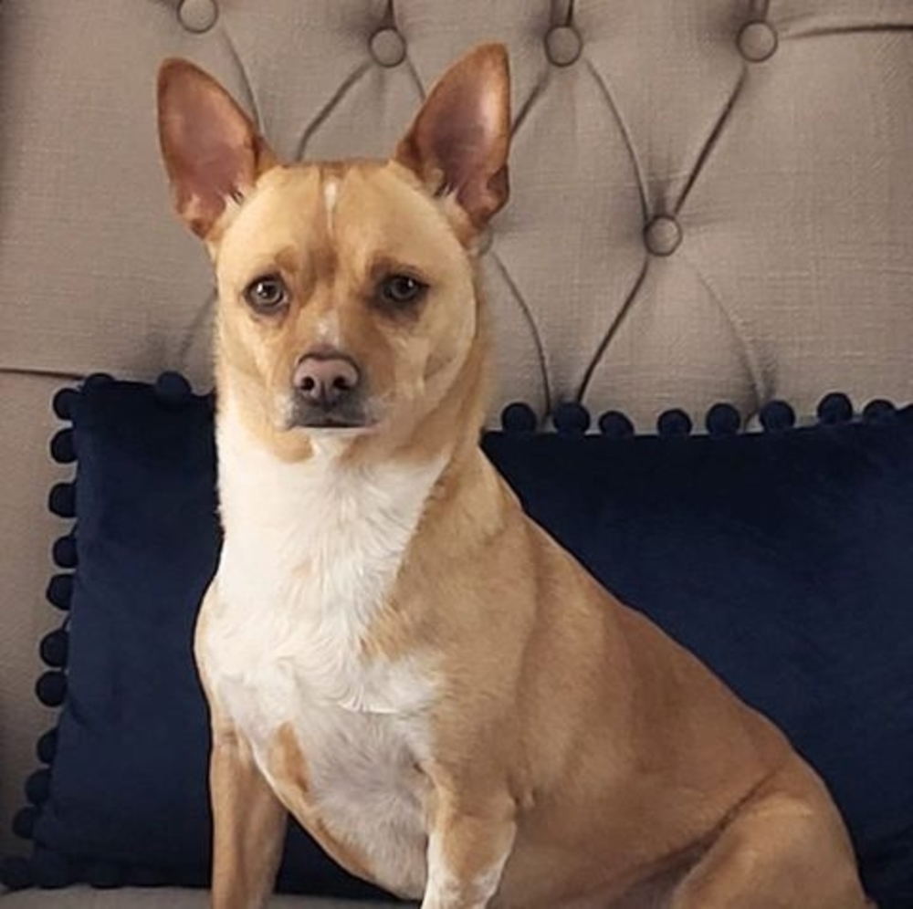 Meet your Posher, Linda